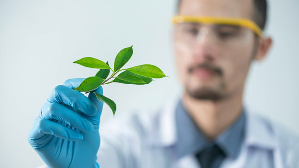 山東元琿環(huán)保年生產能力12000噸